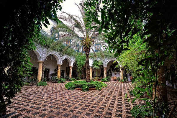 Andalucía, España. Patio con palmeras