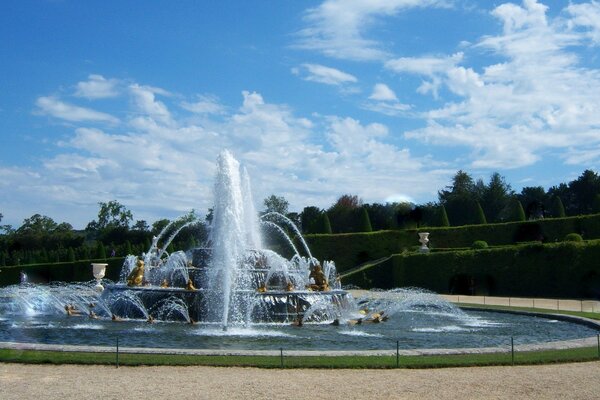 Hermosa fuente en verano en tiempo soleado