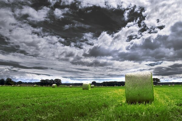 Pilhas de feno verdes no campo verde