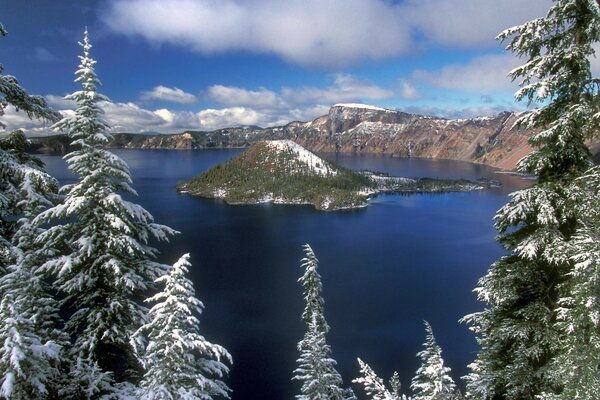 Winter landscape with trees and an island