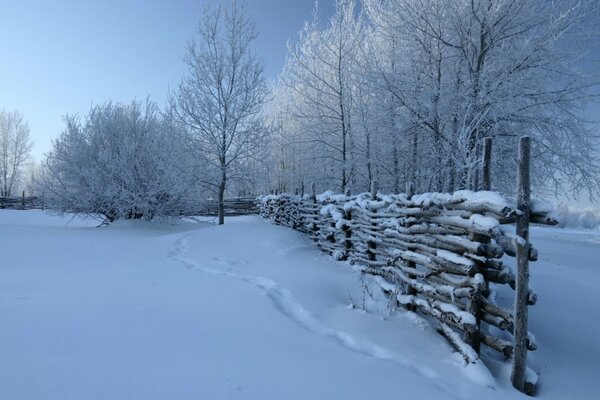 Holzzaun in der schneebedeckten Taiga