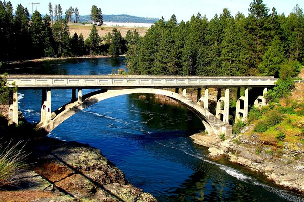 Beau pont debout sur la rivière