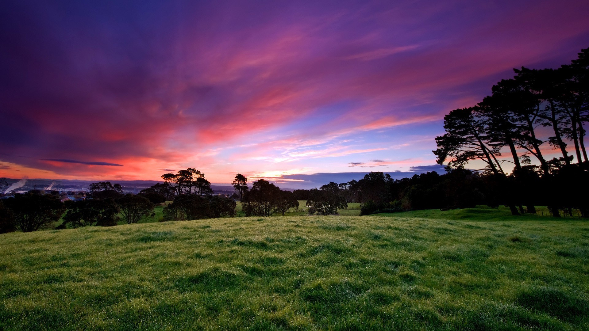 sonnenuntergang und dämmerung sonnenuntergang landschaft gras dämmerung sonne natur baum himmel abend im freien sommer dämmerung gutes wetter landschaft ländliche