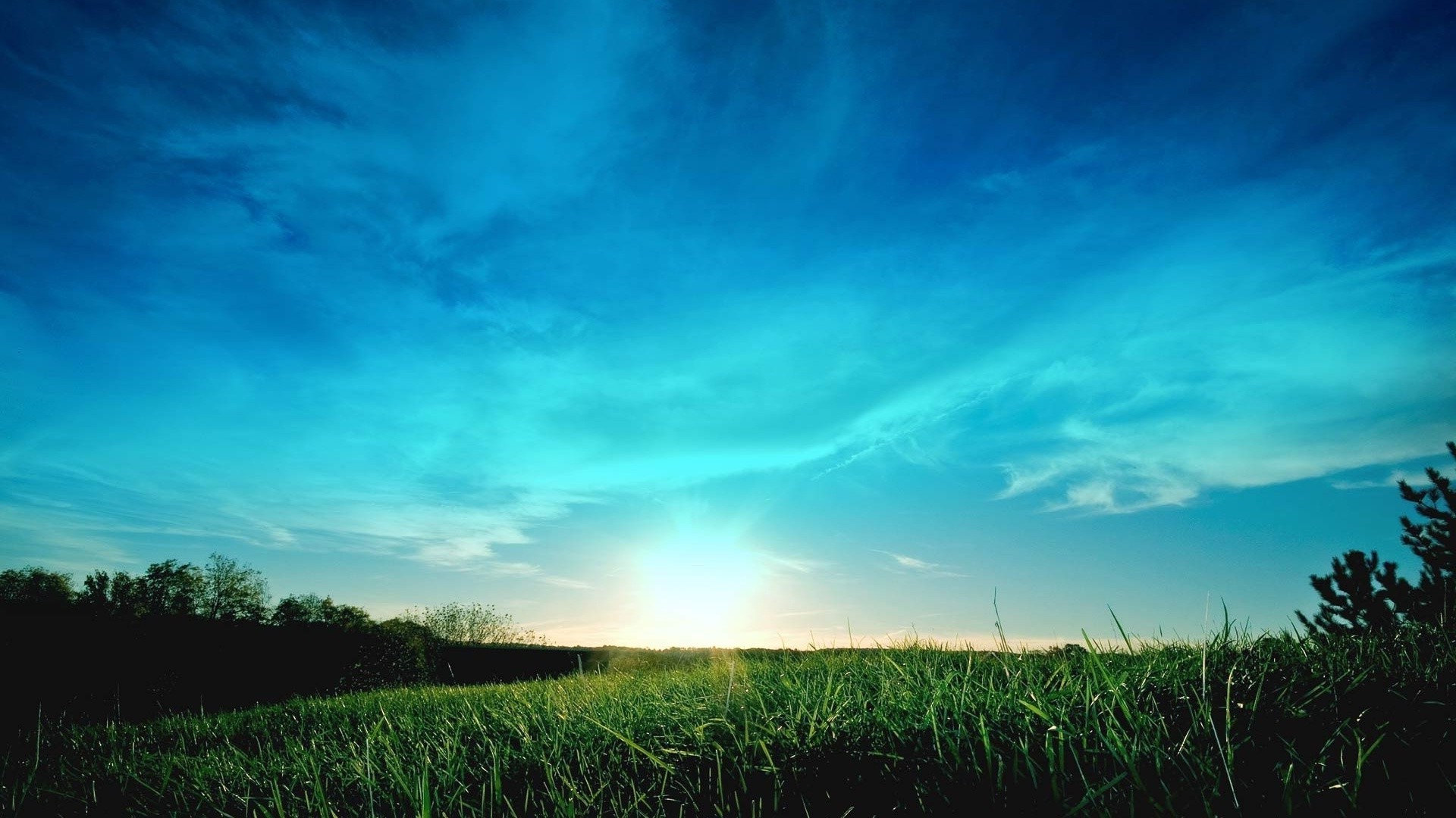 summer nature sky sun grass landscape outdoors dawn fair weather rural field sunset countryside bright light weather idyllic pasture