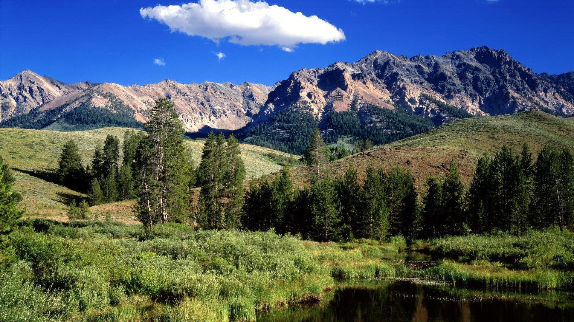 mountains mountain nature landscape outdoors wood travel scenic sky tree valley snow daylight mountain peak conifer