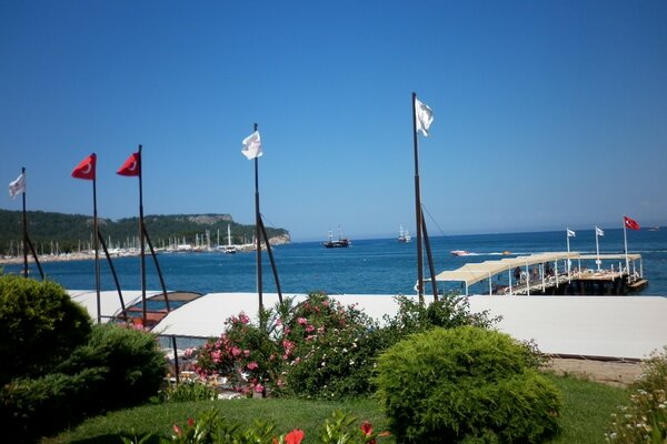 A resort with a pier on the seashore