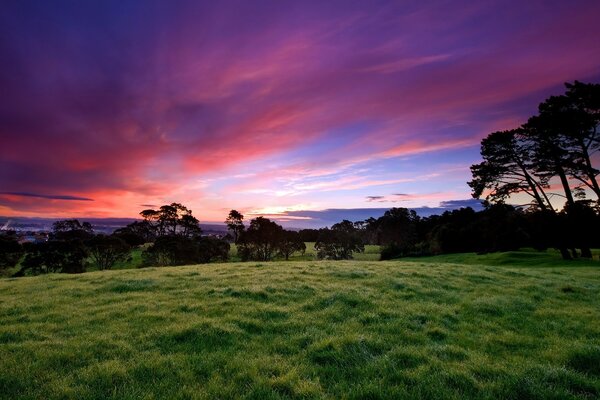 Landschaft mit Rasen auf Sonnenuntergang Hintergrund