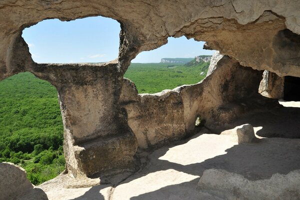 Tunnels de grottes baignées de soleil sur fond de forêt verte