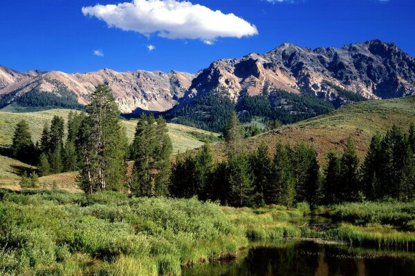 Natura paesaggio di montagna splendidamente