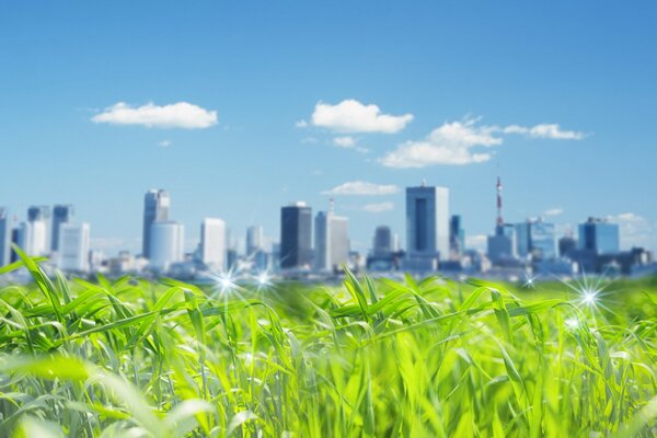 Megapolis with high-rise buildings next to grass