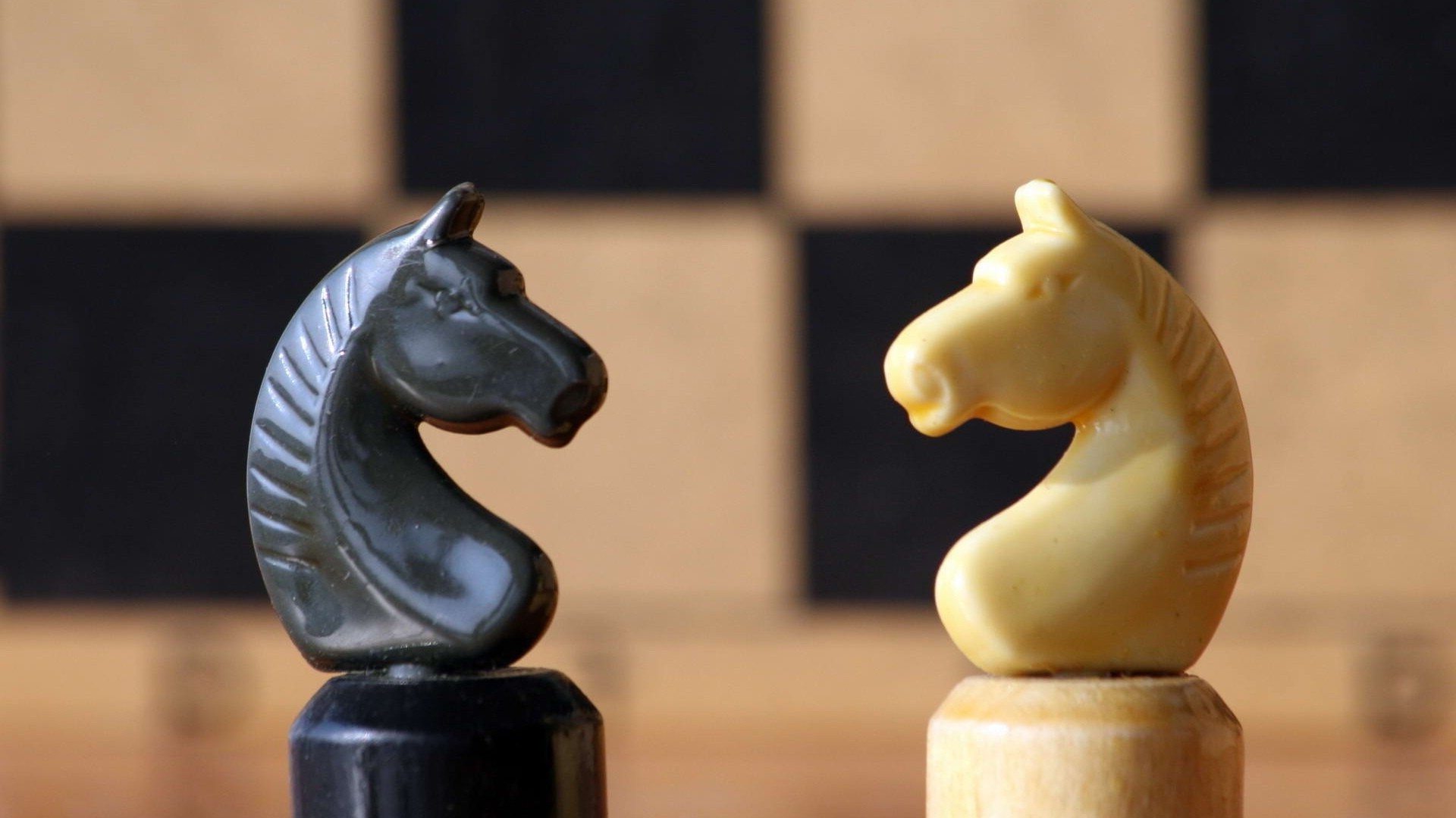 strategy sculpture wood chess one competition figurine statue travel ancient art action cavalry ceramic daylight challenge indoors still life museum