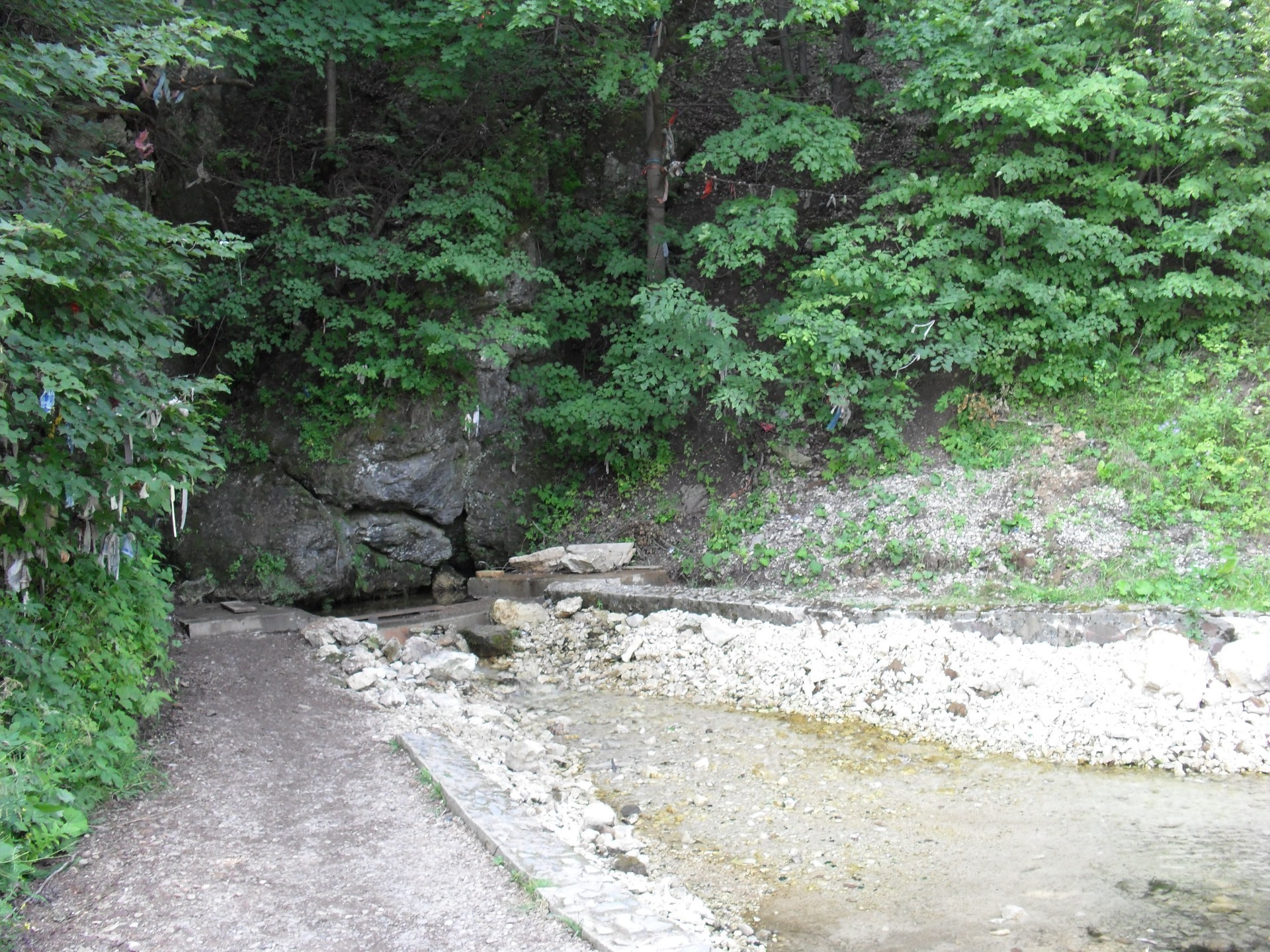 distese native natura paesaggio legno acqua foglia ambiente all aperto albero estate flora parco fiume strada lussureggiante flusso scenic viaggi pietra