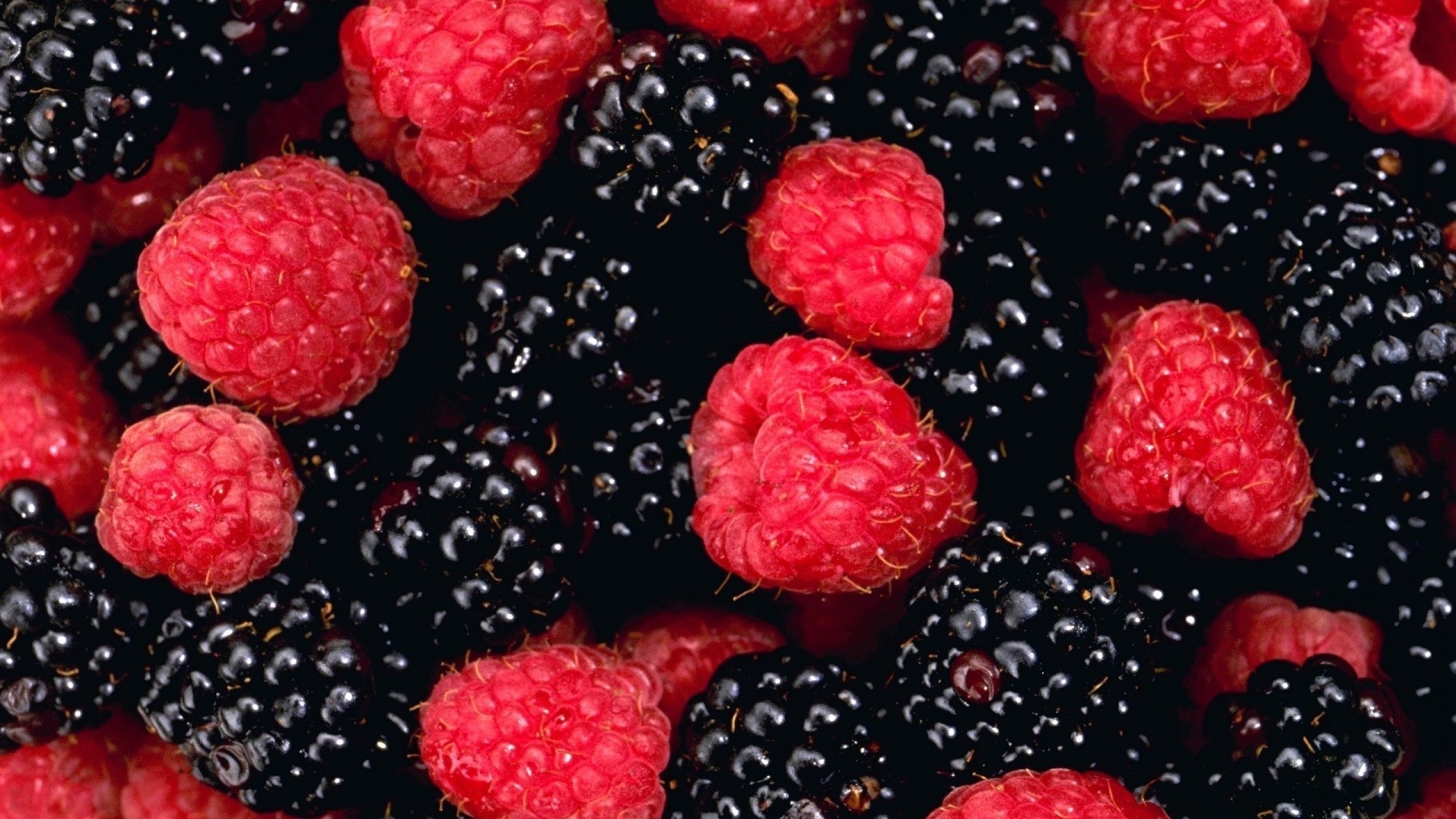 baies framboises mûres fruits baies doux alimentaire délicieux juteux en bonne santé confiserie fraîcheur rafraîchissement délicieux régime alimentaire épicure alimentaire myrtille gros plan beaucoup