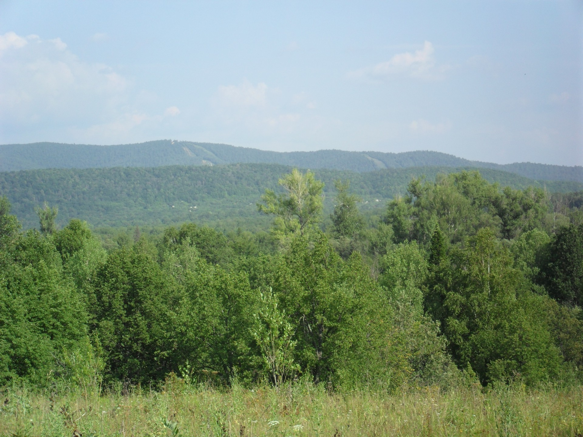 native open spaces landscape tree wood nature sky outdoors travel summer hill scenic mountain grass agriculture daylight field countryside hayfield flora grassland