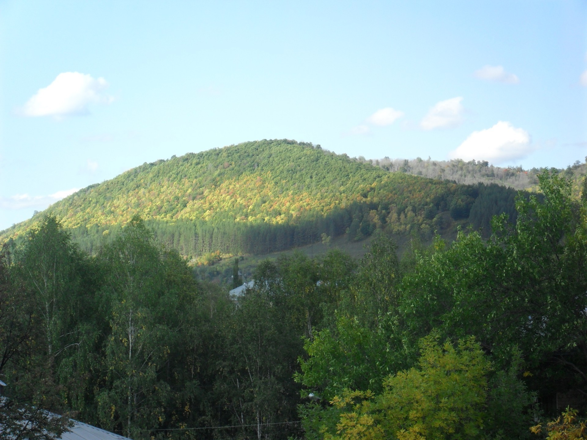 espacios nativos paisaje árbol montaña madera naturaleza colina viajes cielo medio ambiente escénico río agua valle al aire libre luz del día parque verano roca lago