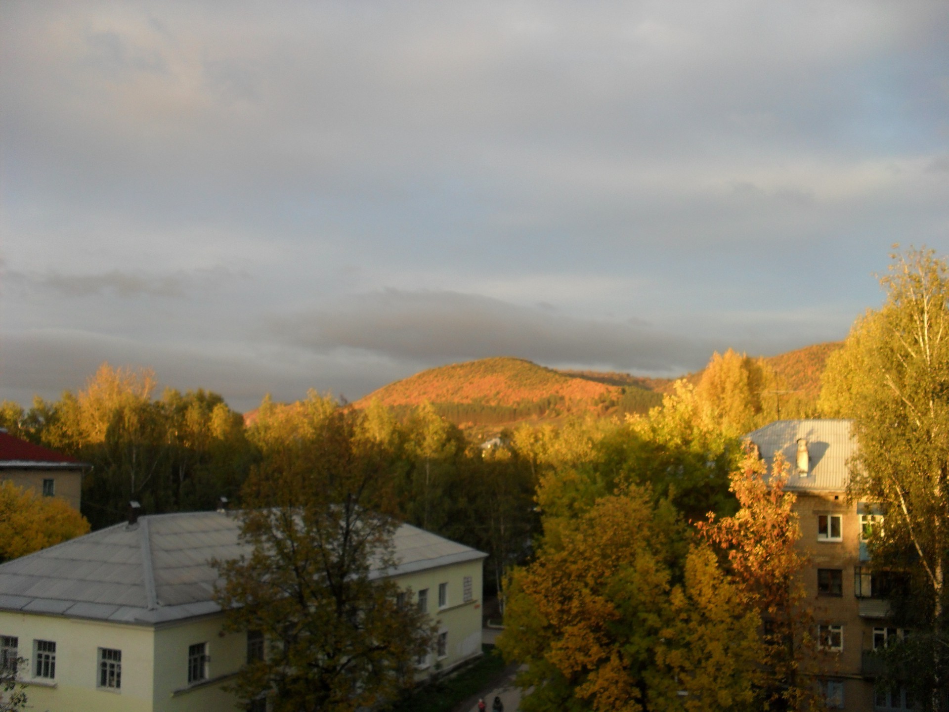 native weite herbst baum haus holz im freien tageslicht himmel landschaft architektur reisen haus nebel natur licht blatt landschaftlich