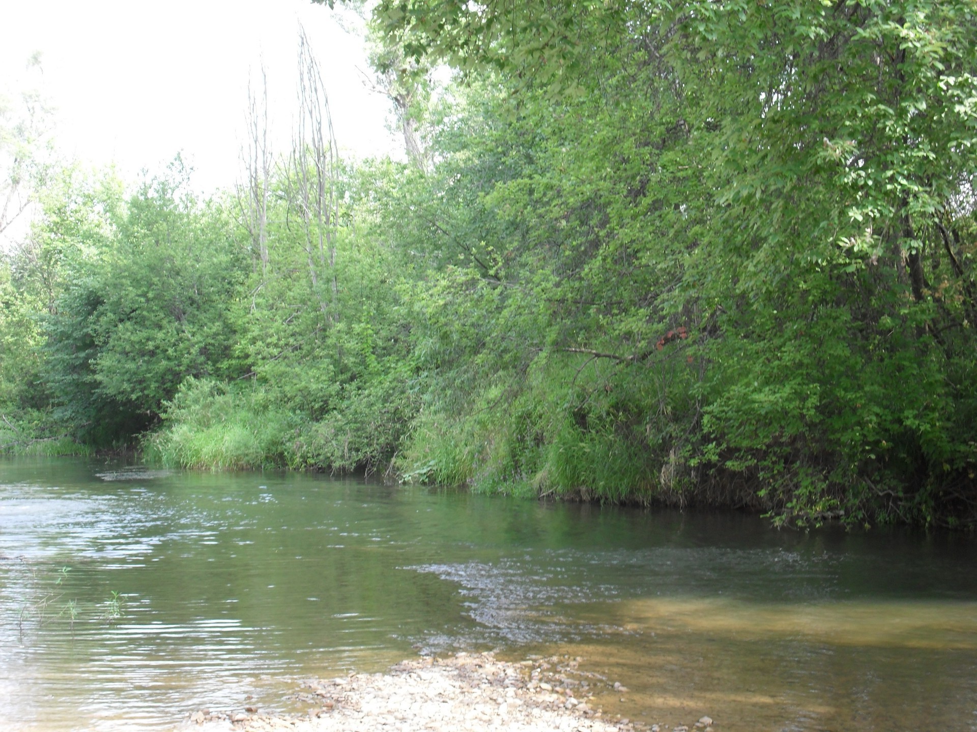 distese native acqua fiume natura legno albero paesaggio estate ambiente parco lago foglia all aperto flora riflessione viaggi stagione scenico bel tempo freddo