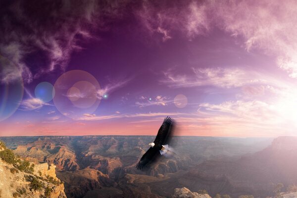 An eagle soaring in the sky against the background of mountains