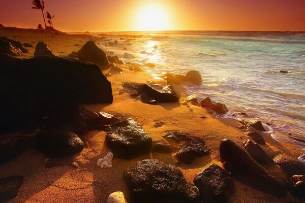 Puesta de sol de verano en una isla tropical