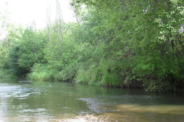 Fluss im Dorf an einem Sommertag