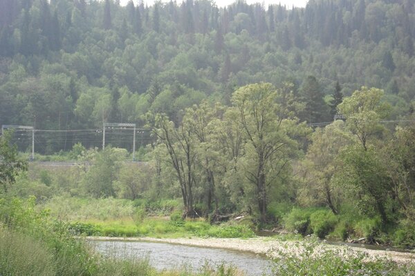 Wald mit Fluss und Eisenbahnschienen