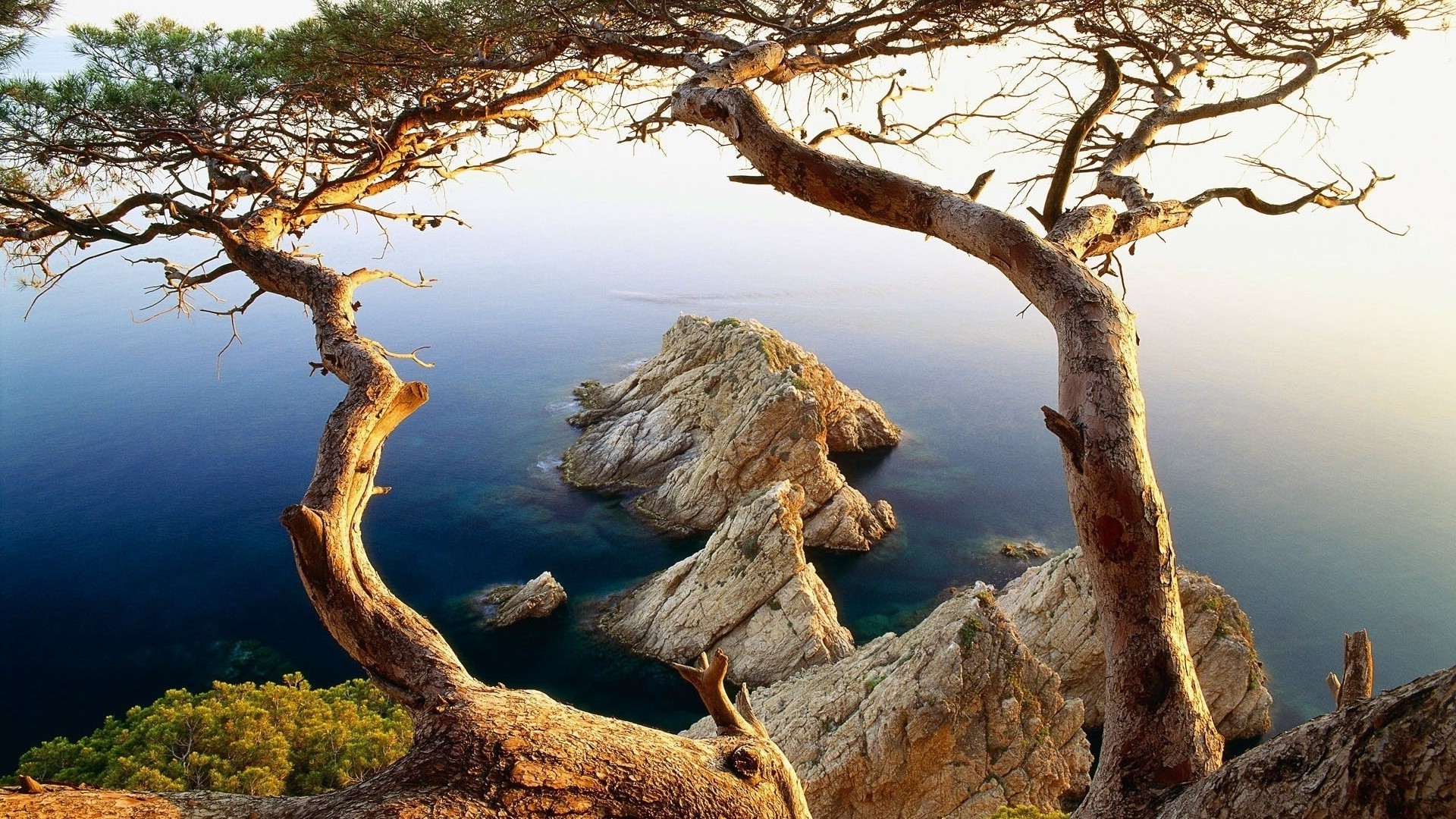 felsen felsbrocken und steine felsbrocken und steine holz natur wasser landschaft holz himmel im freien reisen wurzel umwelt park meer rock morgendämmerung