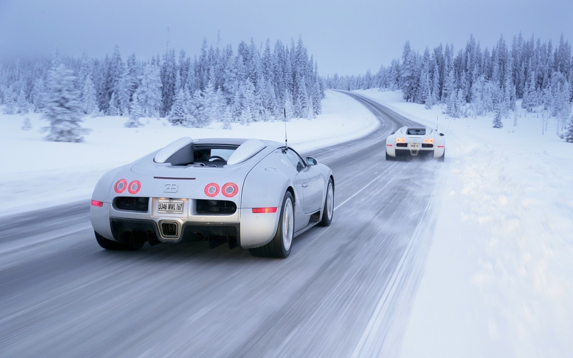 tiere auto auto schnee transportsystem winter straße fahren beeilen sie sich verfolgen schnell rennen aktion reisen