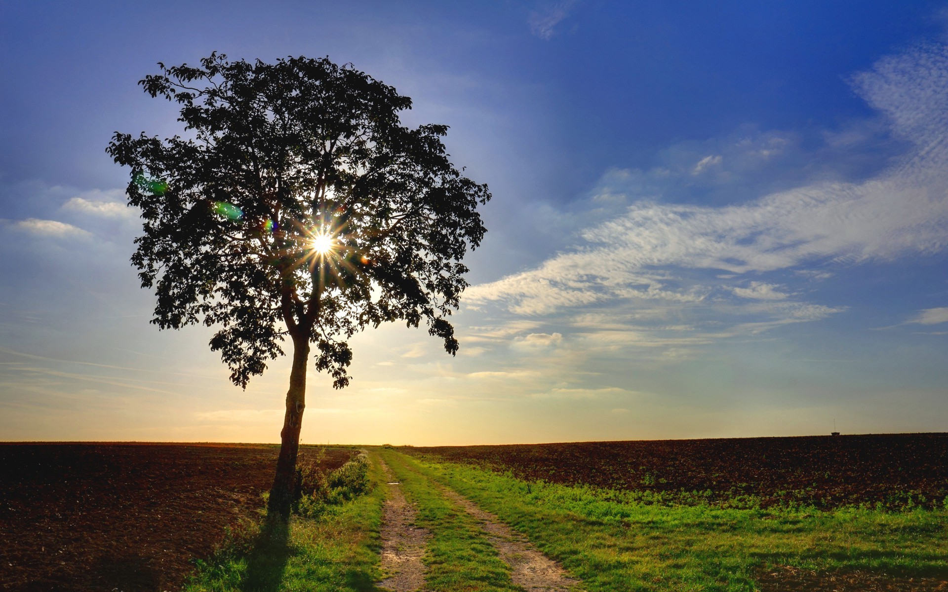 routes soleil paysage nature ciel beau temps herbe aube arbre rural été champ coucher de soleil campagne lumineux nuage à l extérieur