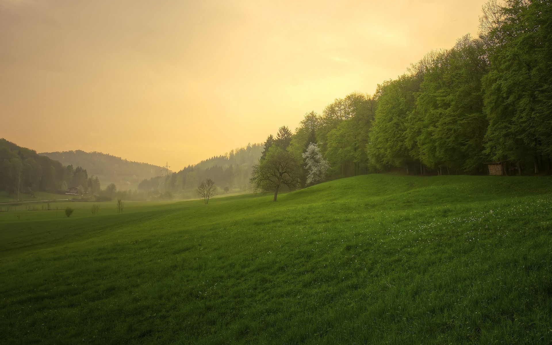 luoghi famosi paesaggio erba albero natura golf all aperto alba fieno luce del giorno estate nebbia campagna collina campo