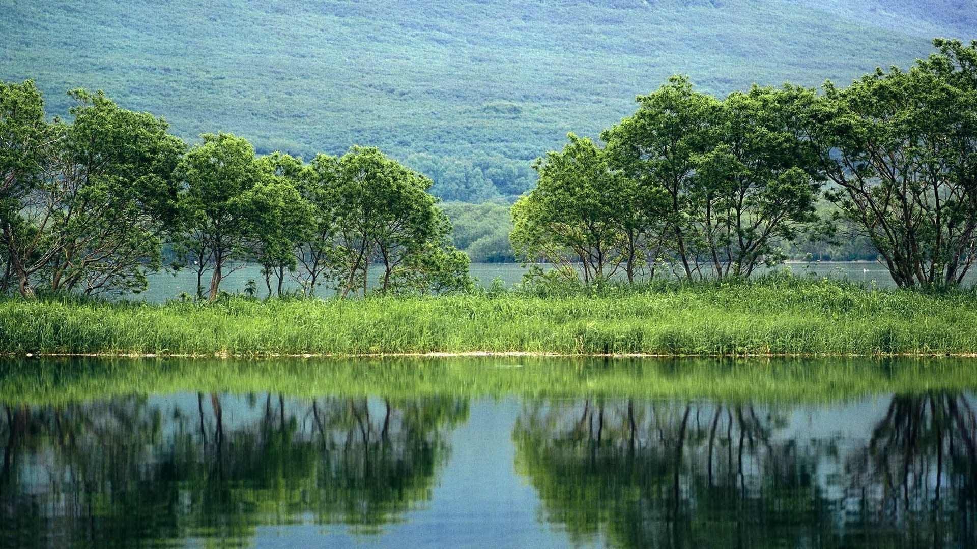 rivers ponds and streams water nature reflection river landscape lake tree sky wood tropical summer grass rural pool travel environment flora beautiful sight