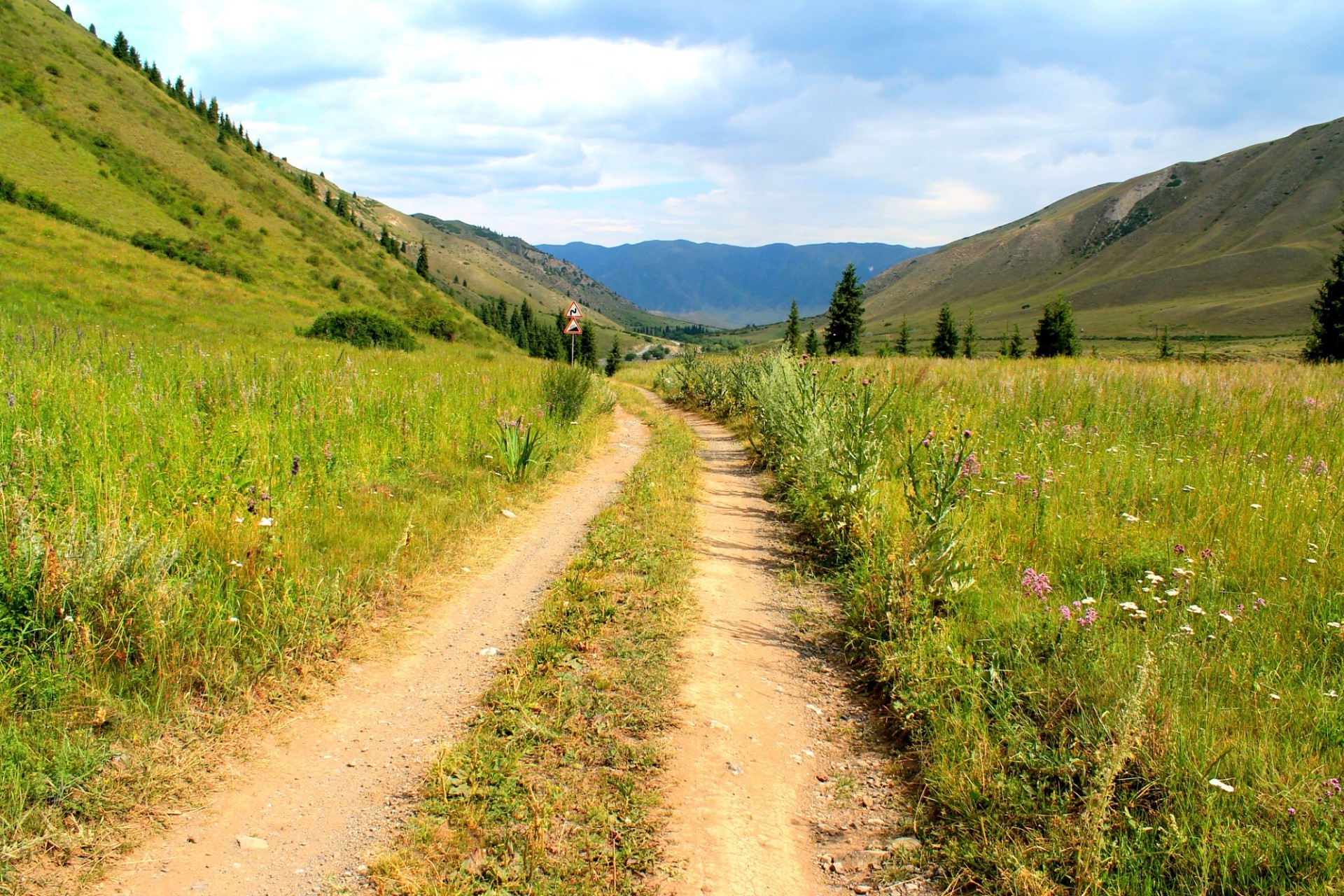 felder wiesen und täler landschaft natur reisen gras im freien sommer himmel straße des ländlichen landschaftlich berge landschaft feld heuhaufen hügel holz