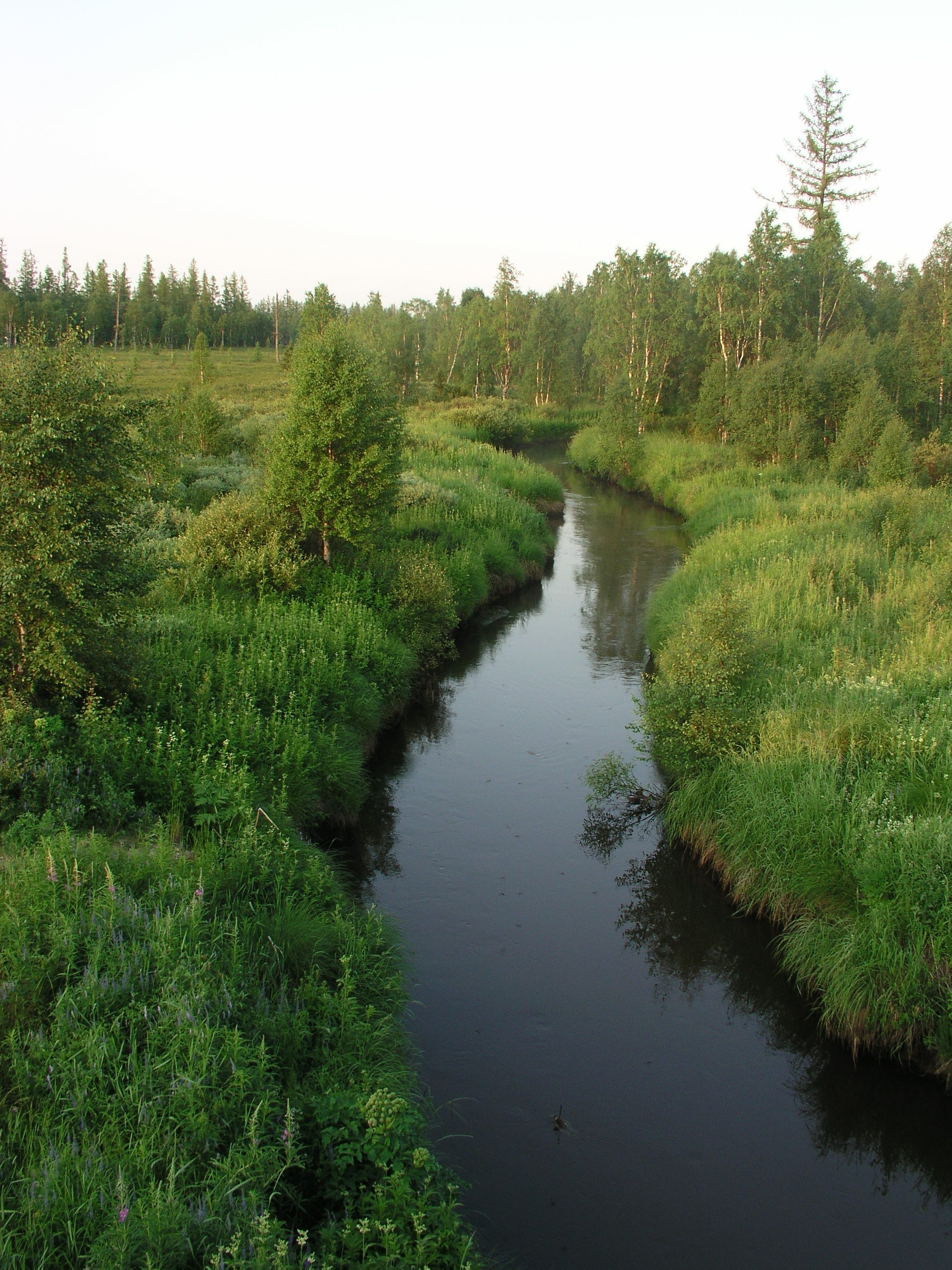 flüsse teiche und bäche teiche und bäche wasser fluss natur landschaft holz see im freien holz reflexion reisen sommer landschaftlich gras pool