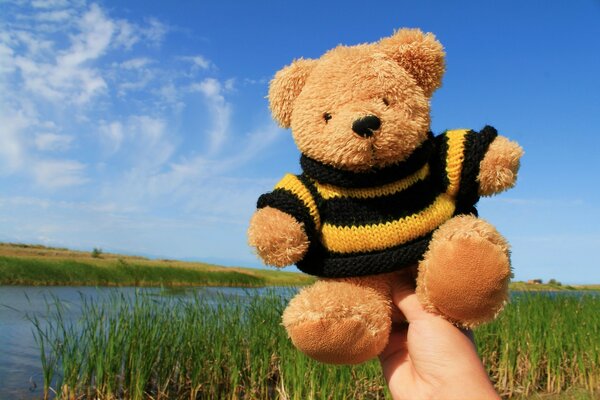 Kinder in der Natur auf dem Hintergrund von Gras und Himmel Teddybär