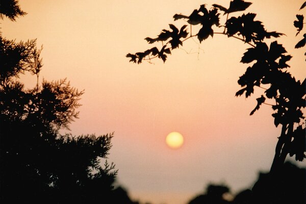 Fotos do pôr-do-sol e amanhecer para abrir