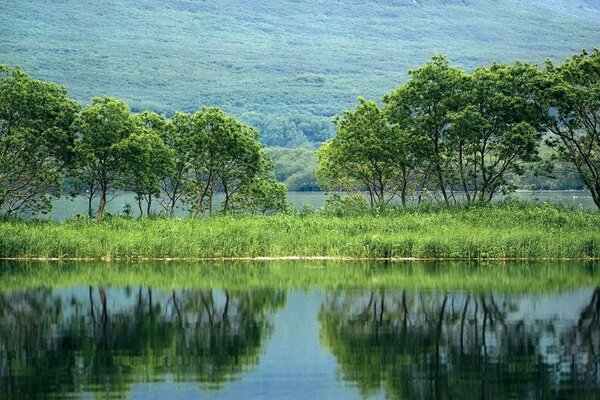 Die Natur. Wasser von Teichen und Bächen