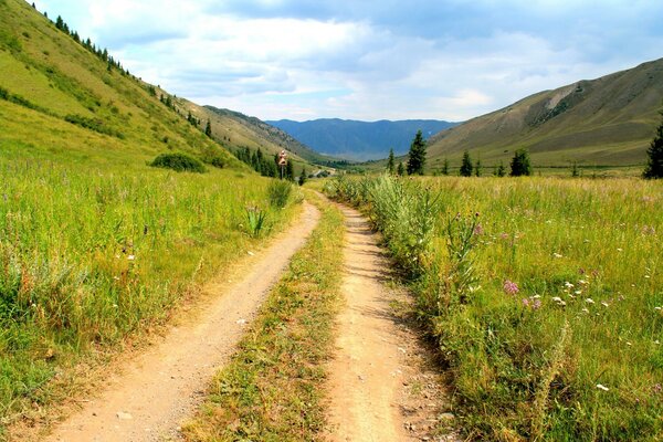 Route rurale sur une journée d été