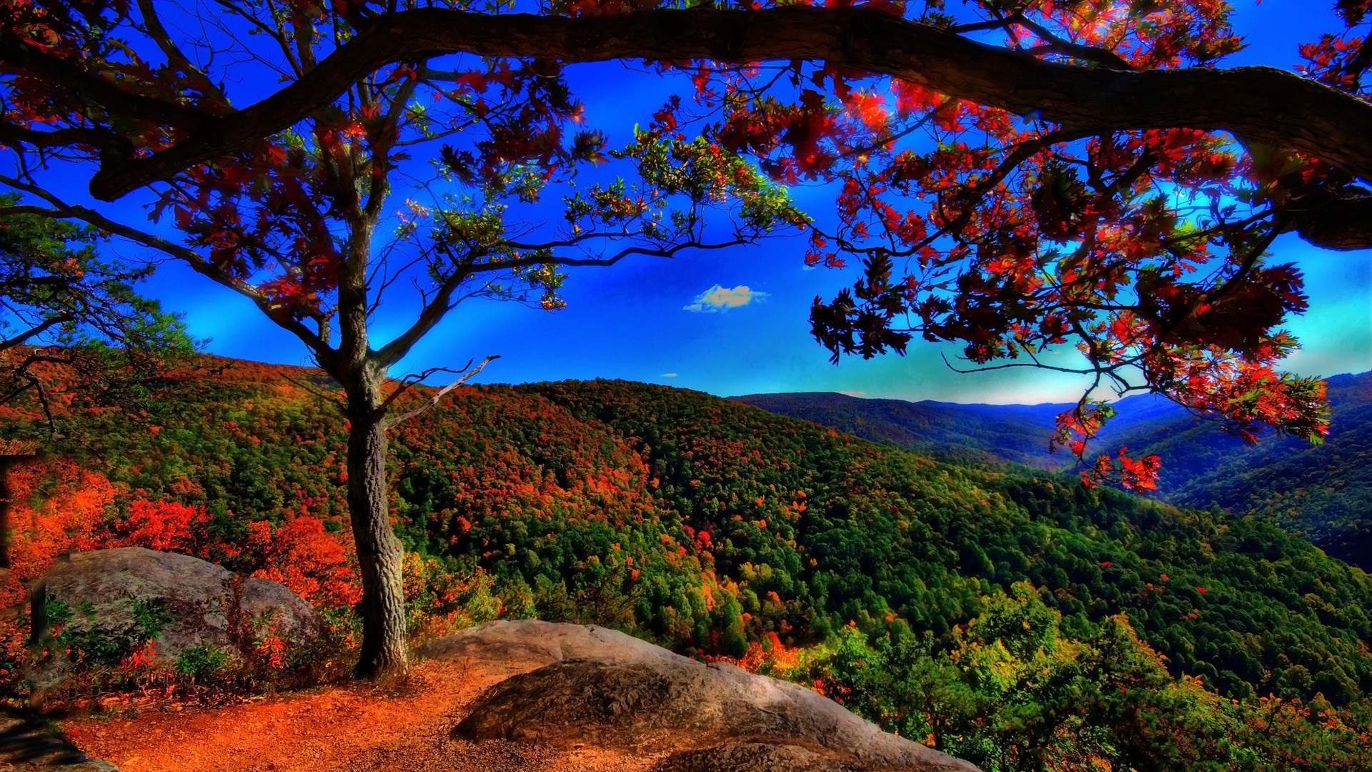 trees tree landscape fall nature leaf sunset wood scenic mountain outdoors dawn sky travel park evening