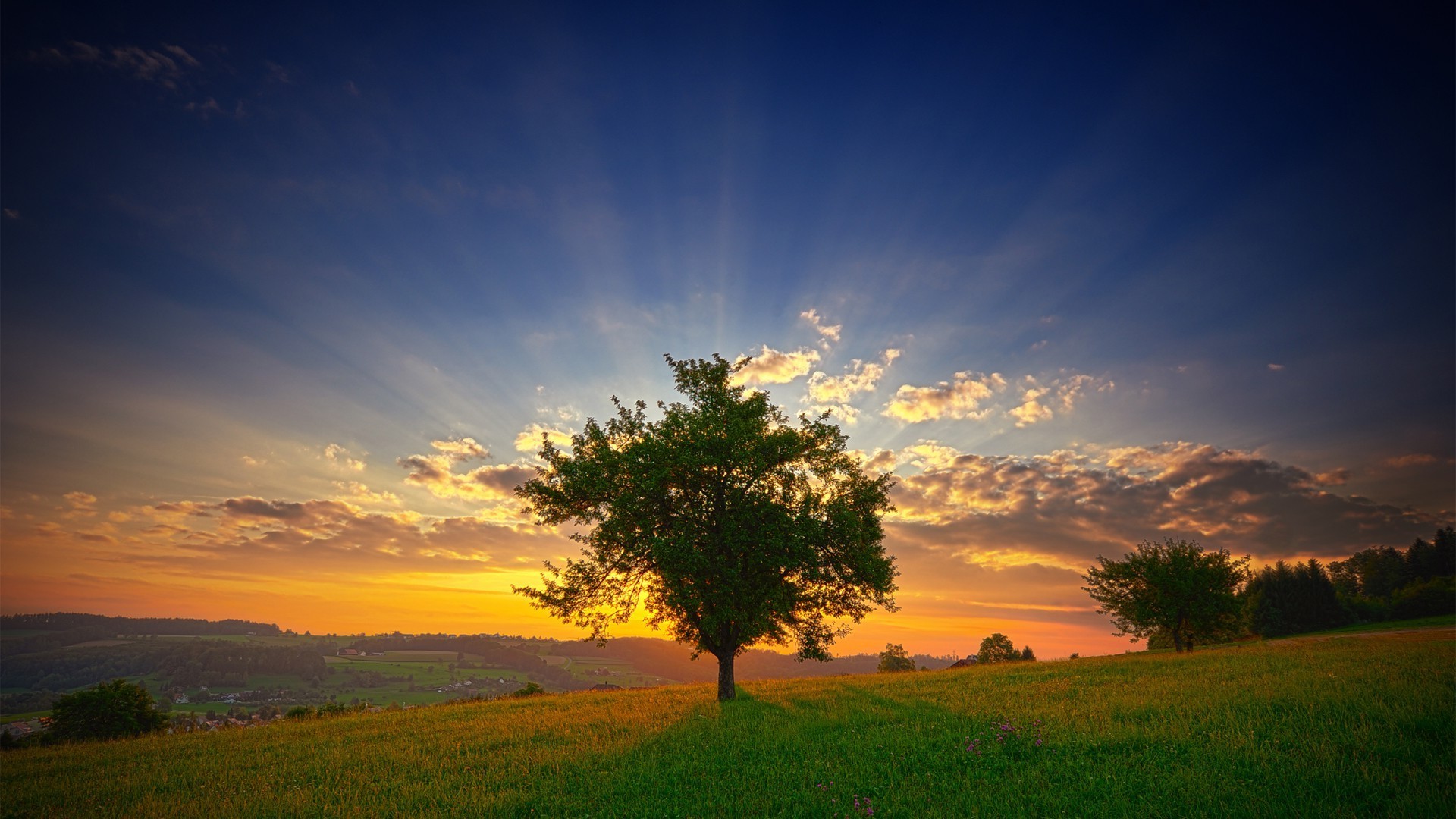 sonnenuntergang und dämmerung sonnenuntergang dämmerung sonne abend himmel landschaft natur dämmerung gutes wetter baum im freien landschaft gras licht silhouette hintergrundbeleuchtung