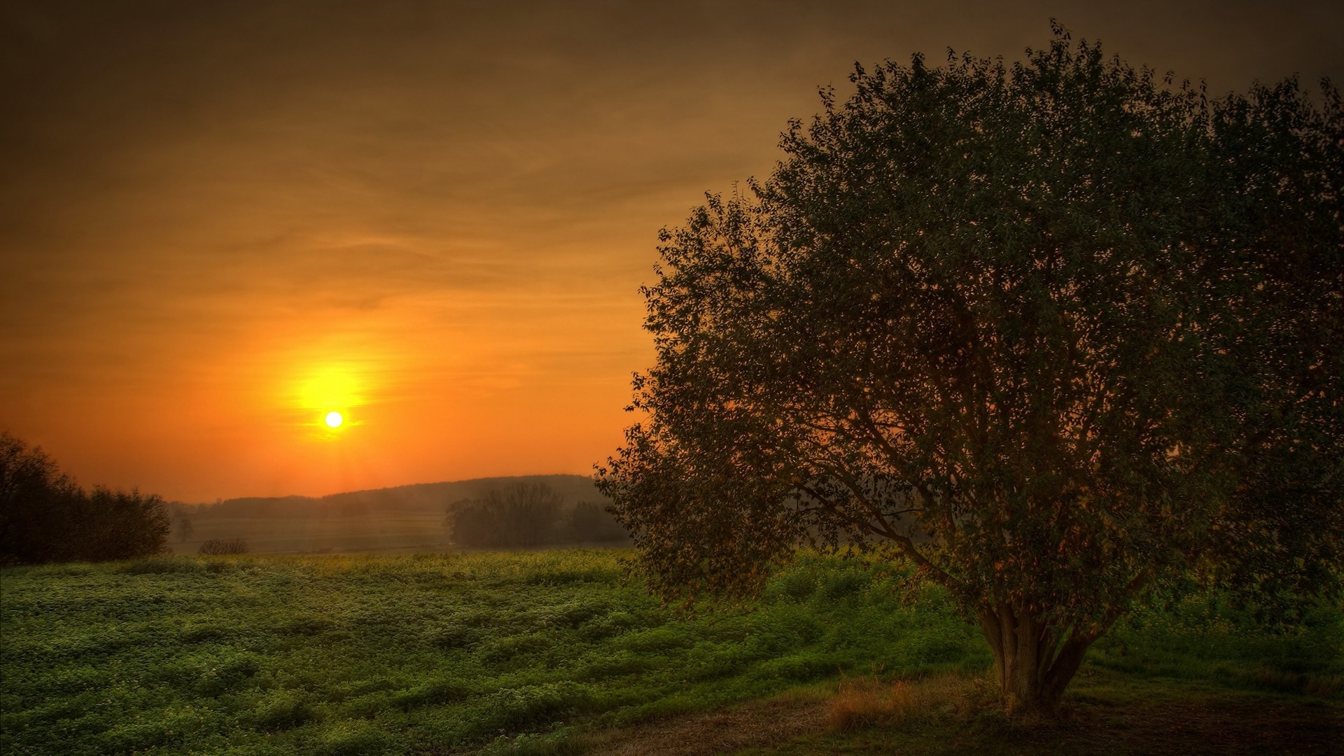 coucher du soleil et l aube aube coucher de soleil soleil paysage soir arbre brouillard nature ciel beau temps campagne crépuscule automne brouillard à l extérieur herbe rétro-éclairé silhouette