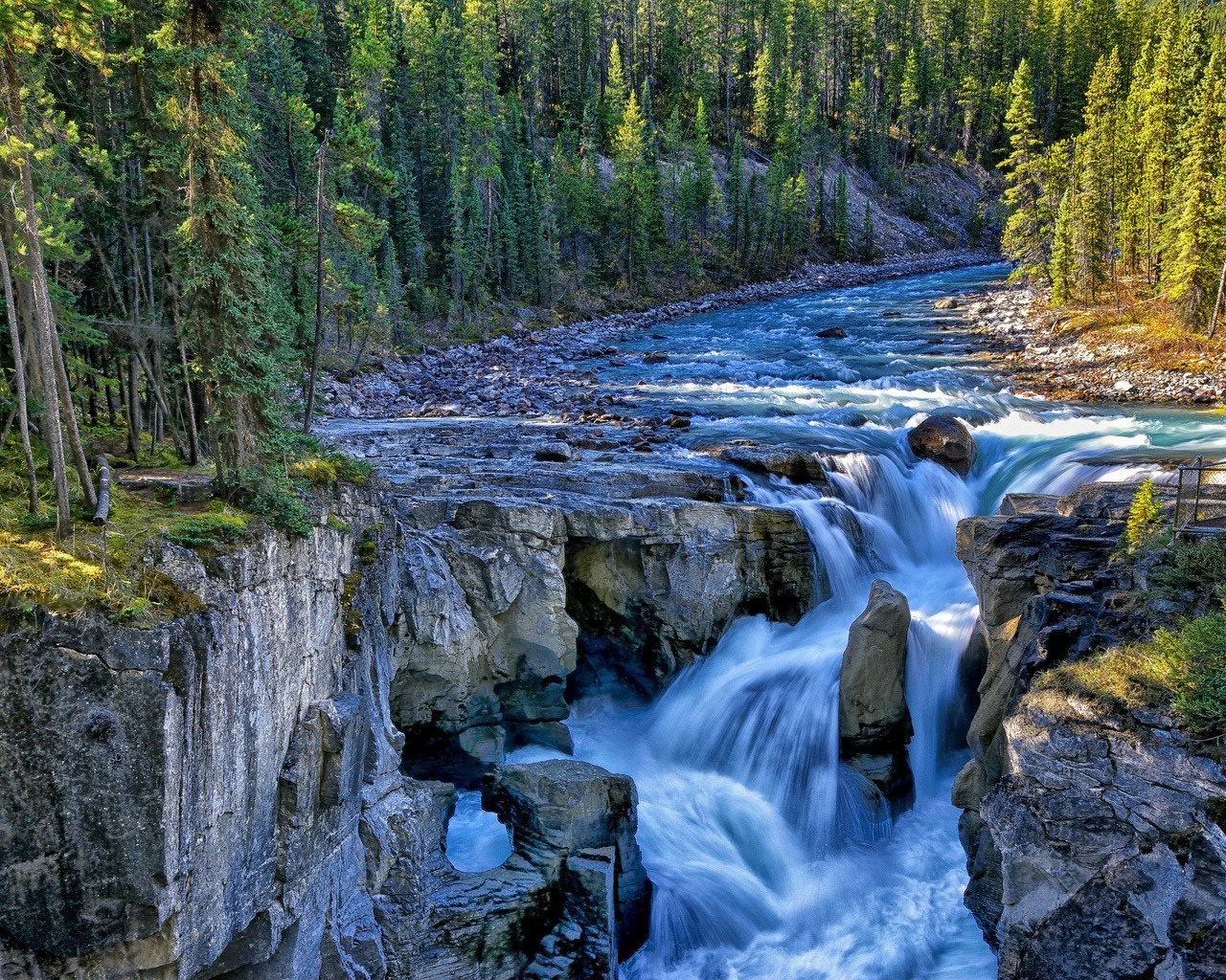 Rapid waterfall in the forest - Phone wallpapers