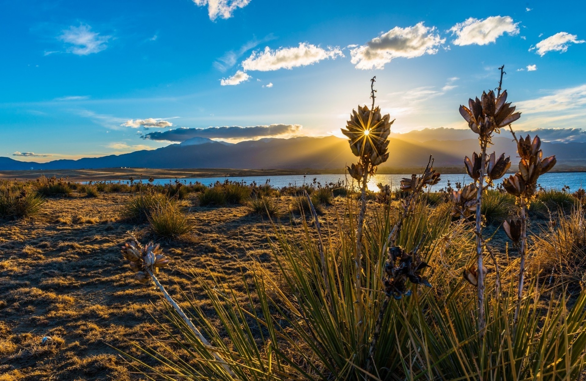 sonnenuntergang und dämmerung landschaft sonnenuntergang himmel dämmerung wüste natur reisen im freien wasser abend sonne kaktus dämmerung see