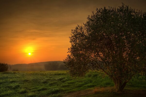 Belo pôr do sol escarlate na natureza