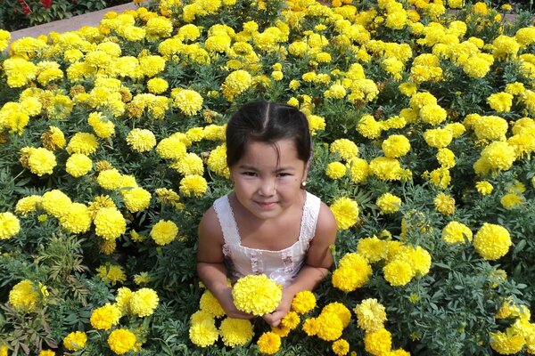 Jolie fille entourée de fleurs de soucis jaunes