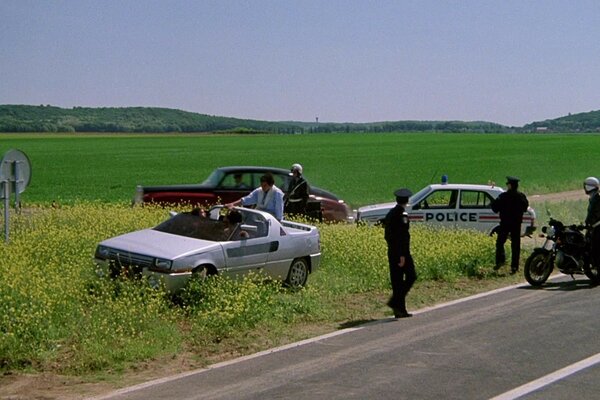 Police and motorists in a green field