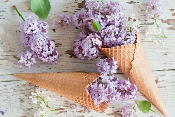 Вафельные рожок с цветами сирени