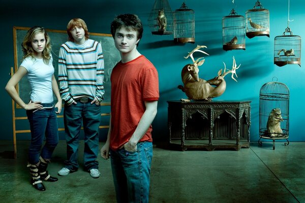 Il cast di Harry Potter guarda la telecamera