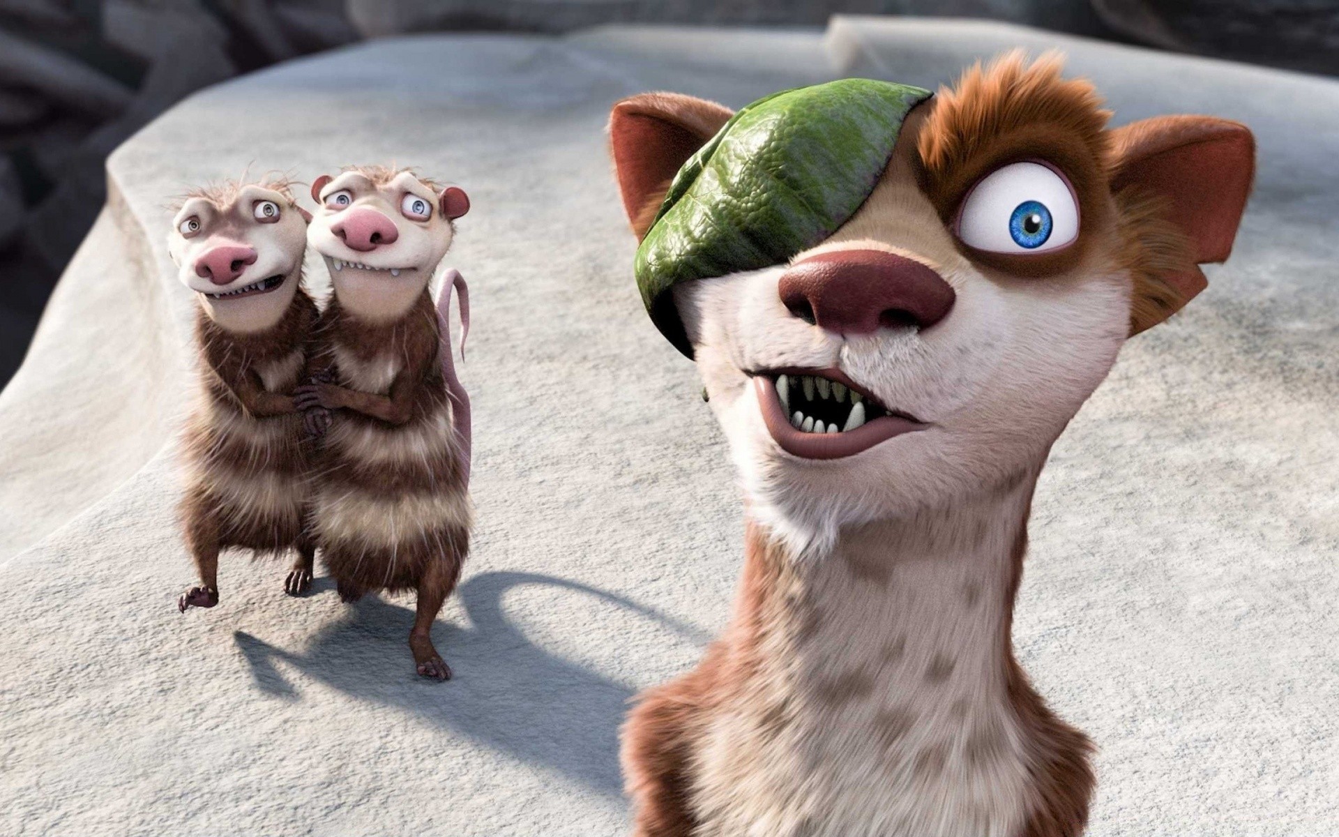 ice age słodkie ssak portret śmieszne jeden zwierzę kot przyjemność młody oko natura