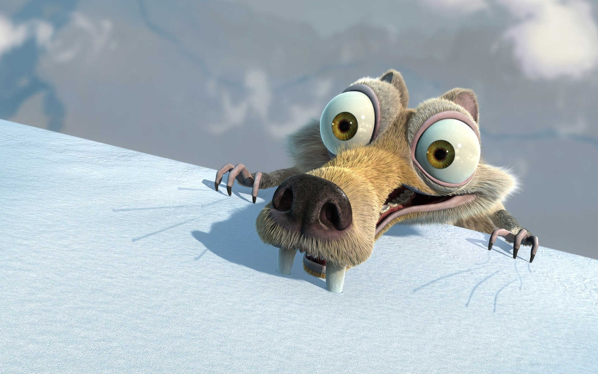 ice age śnieg zima ptak natura zwierzę zimno lód dzika przyroda mroźny