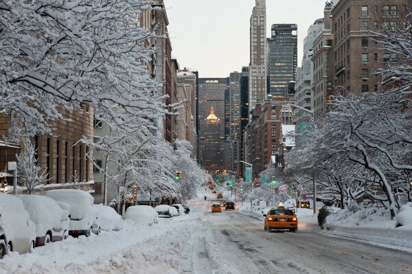 Cold winter day of the city