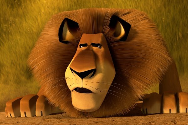 Madagascar. Lion. Cartoon. Animal